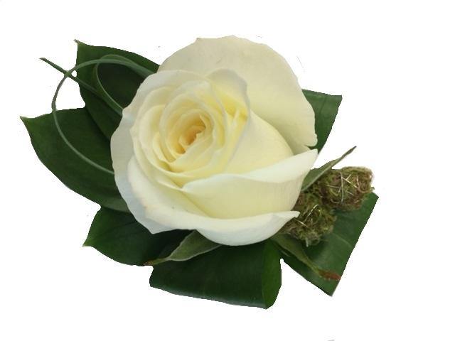 Men's Buttonhole - Citywide Florist Christchurch NZ