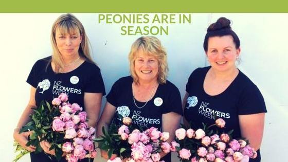 Citywide Florist Girls Enjoying NZ Flowers Week With locally Grown Christchurch Peonies. - Citywide Florist Christchurch