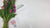3  Beautiful Mothers Day Presents for 2020 For Delivery or Pickup in Christchurch - Citywide Florist Christchurch