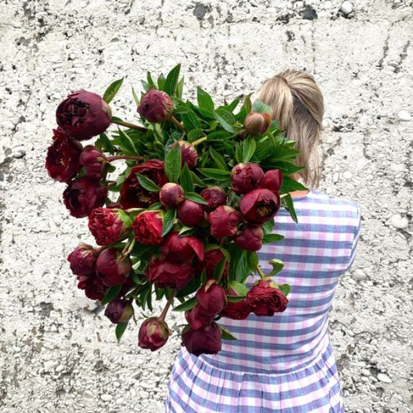 Christchurch Florist Flowers and Gift Basket Delivery Citywide