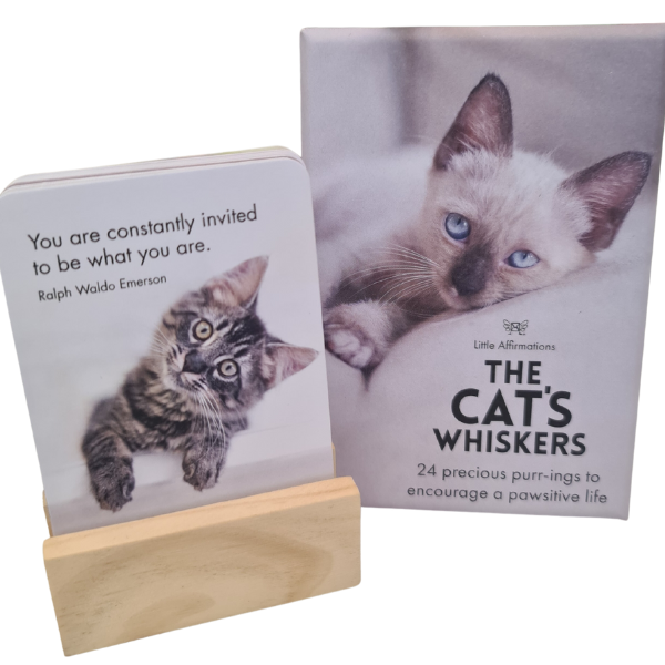 The Cat&#39;s Whiskers Affirmation Cards
