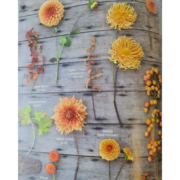 Send Plants as a Gift in Christchurch Delivery or Pickup Citywide