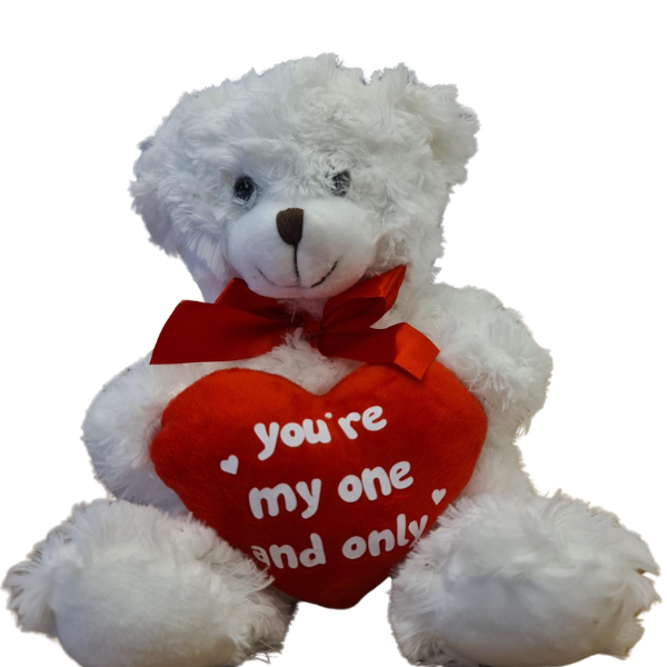 You&#39;re my One and Only Teddy Bear