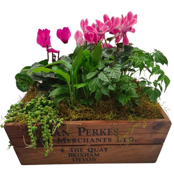 Planter Box - Large