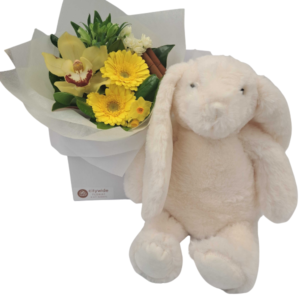 Hello Wee One Gift Basket