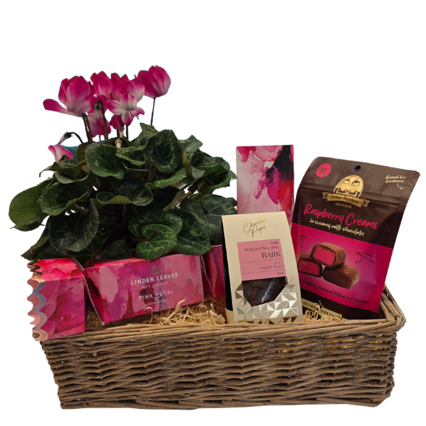 Mother's Day Cyclamen Gift Box