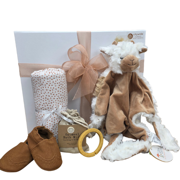 Bundles of Cuddles Gift Box