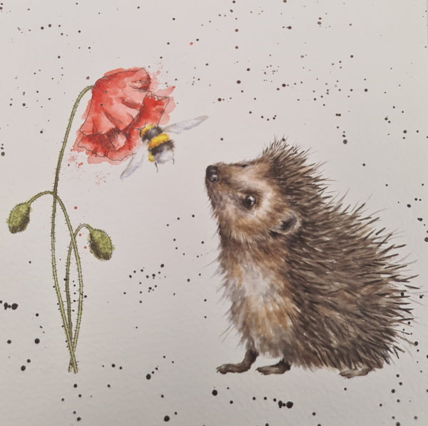 Wrendale Hedgehog Greeting Card - Greeting Card - Citywide Florist Christchurch