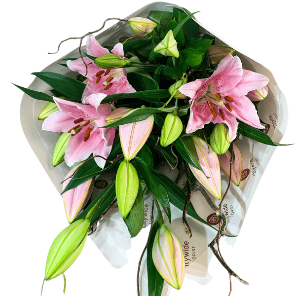 Luscious Lilies Flowers - Pink - Citywide Florist Christchurch NZ