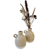 Charlie Vase - Citywide Florist Christchurch NZ