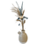 Charlie Vase - Citywide Florist Christchurch NZ