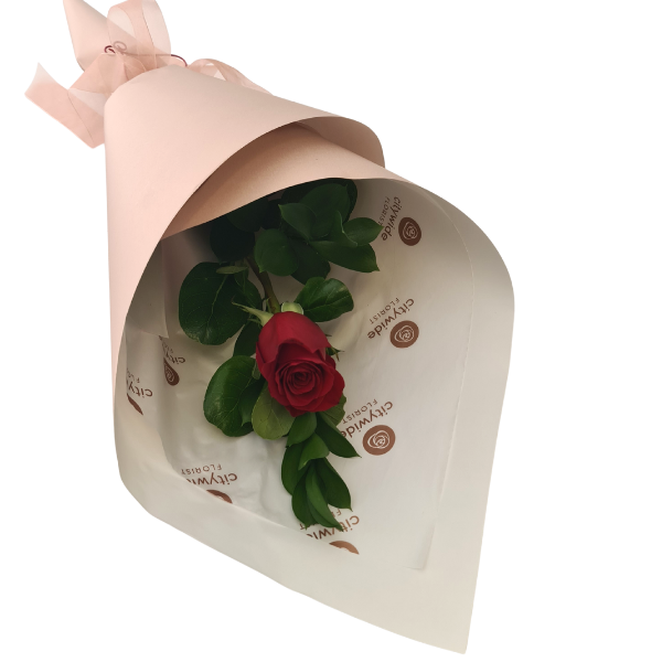 Single Rose Giftwrapped