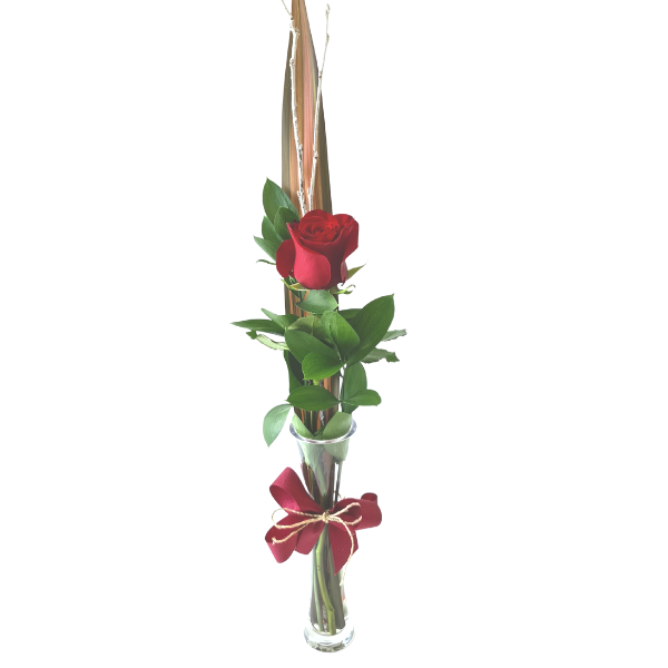 Single Red Rose in a Vase