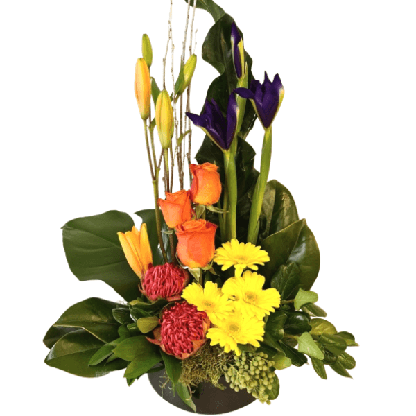 Modern Arrangement - Citywide Florist Christchurch NZ