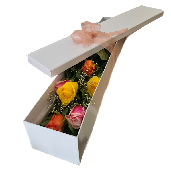 Six Mixed Roses In Gift Box
